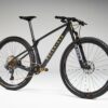 default_f8ae46f0-a7bf-43a3-a9b6-aefa82282a07 Vélo Vtt Race 900 TEAM EDITION XX1 AXS