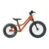 Vélo RASCAL PUNK