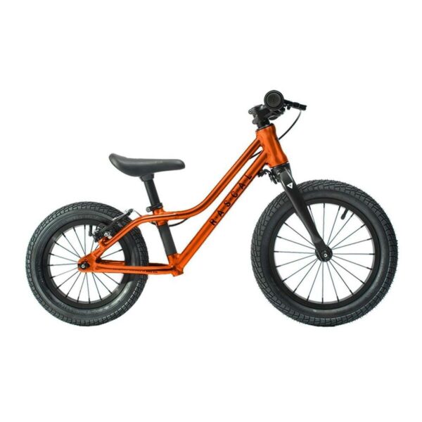 Vélo RASCAL PUNK