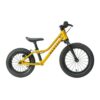 Vélo RASCAL PUNK