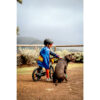 velo-enfant-2en1-draisienne-3-5-ans-14-pouces-discover-900-vert_1 Vélo Enfant 2EN1 DRAISIENNE 3-5 ANS 14" DISCOVER 900