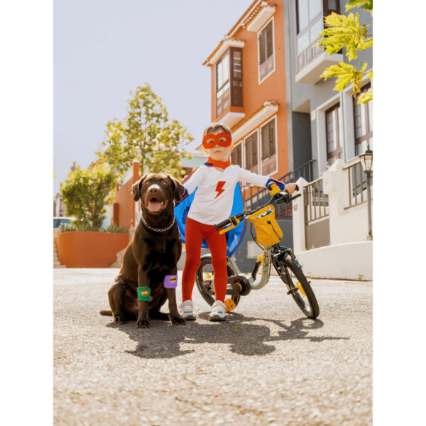 velo-enfant-2en1-draisienne-3-5-ans-14-pouces-discover-900-vert_12 Vélo Enfant 2EN1 DRAISIENNE 3-5 ANS 14" DISCOVER 900