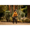 velo-enfant-2en1-draisienne-3-5-ans-14-pouces-discover-900-vert_5 Vélo Enfant 2EN1 DRAISIENNE 3-5 ANS 14" DISCOVER 900