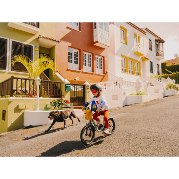velo-enfant-2en1-draisienne-3-5-ans-14-pouces-discover-900-vert_9 Vélo Enfant 2EN1 DRAISIENNE 3-5 ANS 14" DISCOVER 900