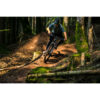 Vélo VTT All Mountain FEEL 900 S Team Edition