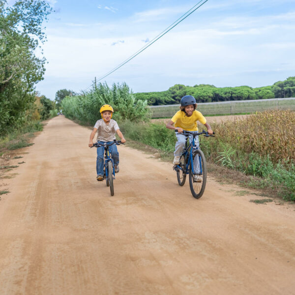 Vélo VTC Enfant RIVERSIDE 120 20" 6-9ans