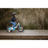 Vélo 14" 3-5 ANS 100ARCTIC